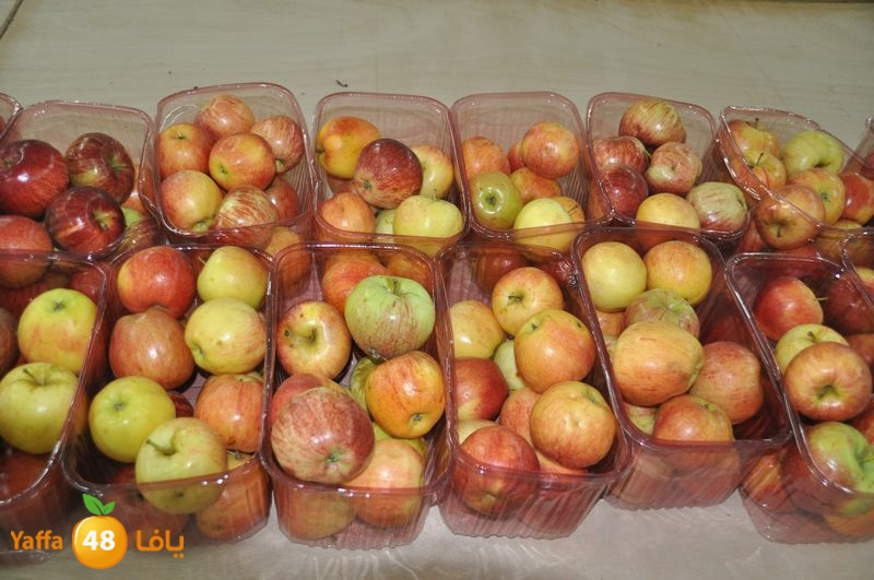 setona2y 830 (12).JPG